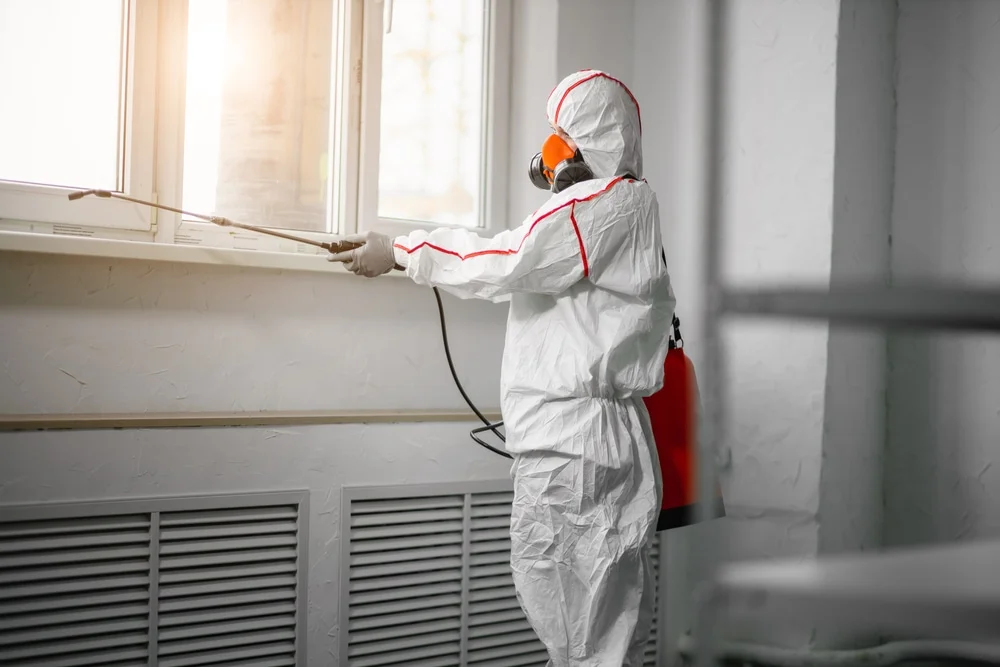 Professional mold remediation services in Saint Johns, MI